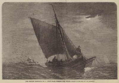 The British Fisheries, No 3, Stow Boats som fisker etter brisling av George Henry Andrews