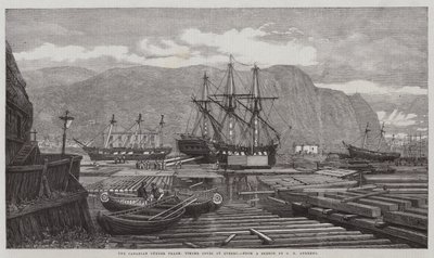 Den kanadiske trelasthandelen, Timber Coves i Quebec av George Henry Andrews