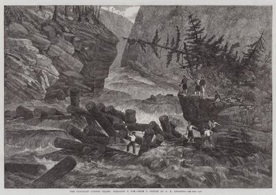 Den kanadiske trelasthandelen, rydder en syltetøy av George Henry Andrews