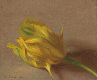  av George Henry Hall