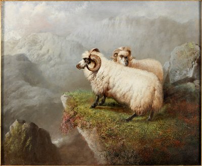 Sau på en klippekant, ca. 1865-68 av George Hepper