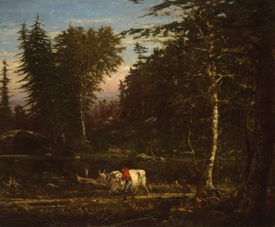 I Adirondacks av George Inness