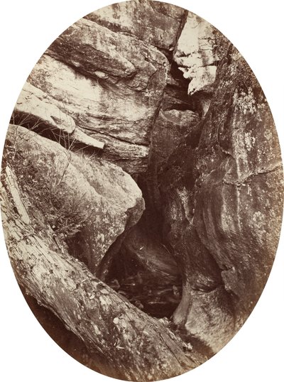Foss nær Williams College, ca. 1870. av George K Warren