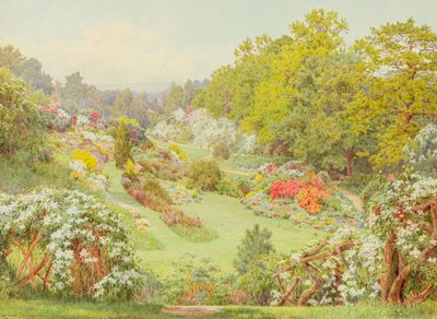  av George Marks