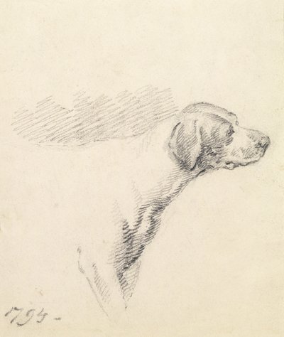 Studie av en hund, 1794 av George Morland