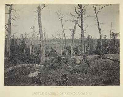 Battle Ground of Resacca, GA, nr. 3, 1866. av George N. Barnard