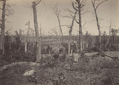 Battle Ground of Resacca, Georgia nr. 3, 1860-tallet. av George N. Barnard