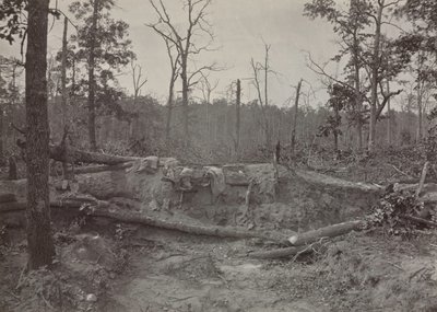 Battlefield of New Hope Church, Georgia, nr. 2, 1865-1866. av George N. Barnard