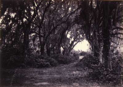  av George N. Barnard