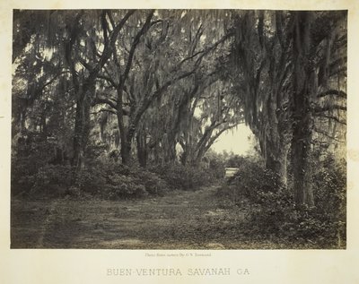  av George N. Barnard