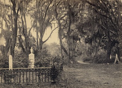  av George N. Barnard