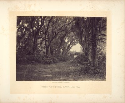 Buen-Ventura, Savannah, Georgia av George N. Barnard