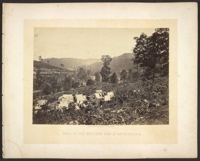  av George N. Barnard