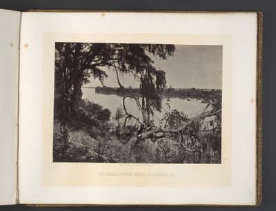 Savannah-elven, nær Savannah, Georgia av George N. Barnard