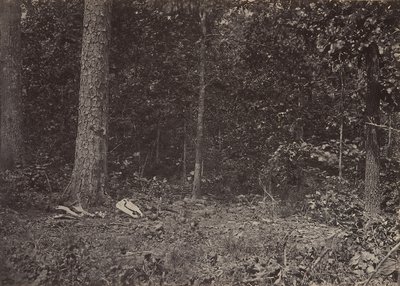 Scene for general McPhersons død, 1864 eller 1866. av George N. Barnard