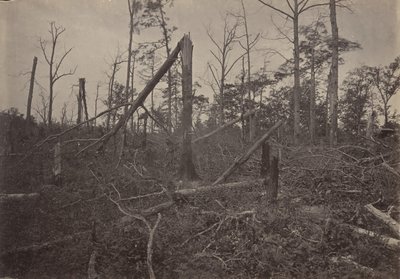 The Hell Hole New Hope Church, Georgia, 1860-tallet. av George N. Barnard