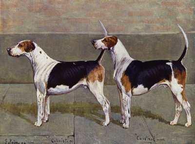 The Puckeridge Foxhounds Colonist and Cardinal av George Paice