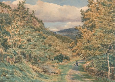 En vei nær Bettws-y-Coed av George Price Boyce
