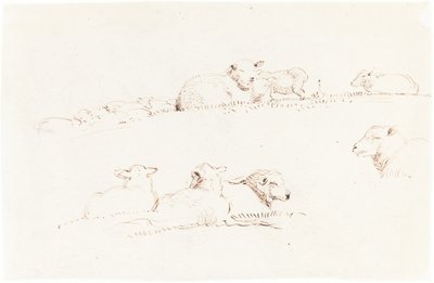 Studier av sauer i beite av George Richmond