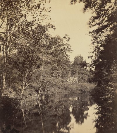 Dell, 1863 (bilde) av George Rockwood Gardner