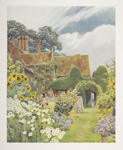 Cleeve Prior, Sunflowers, illustrasjon i "Some English Gardens", av George S. Jekzel Elgood & Gertrude Jekyll av George Samuel Elgood