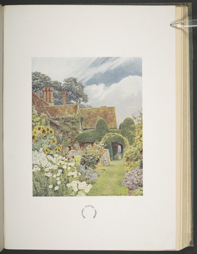 Cleeve Prior, Sunflowers, illustrasjon i "Some English Gardens", av George S. Jekzel Elgood & Gertrude Jekyll av George Samuel Elgood