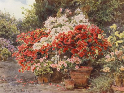  av George Samuel Elgood