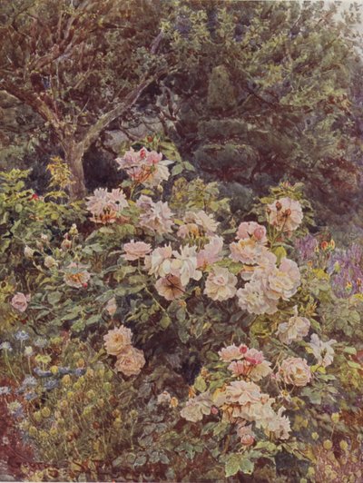 Viscountesse Folkestone av George Samuel Elgood