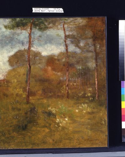 Orange Road, Tarpon Springs (olje på lerret) av George Snr. Inness