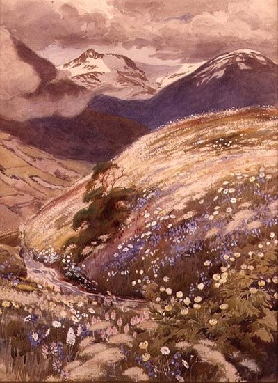 Alpeblomster (akvarell på papir) av George Soper