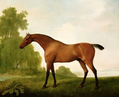 En buktfullblod i et landskap av George Stubbs