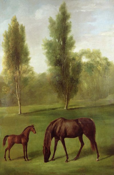 En kastanjehoppe og føll i et skogslandskap, ca. 1761-63 (olje på lerret) av George Stubbs