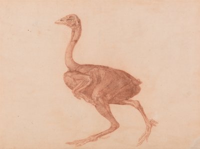  av George Stubbs