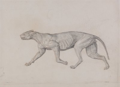  av George Stubbs