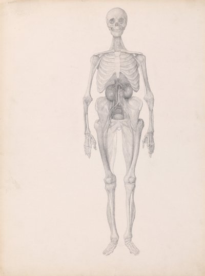  av George Stubbs