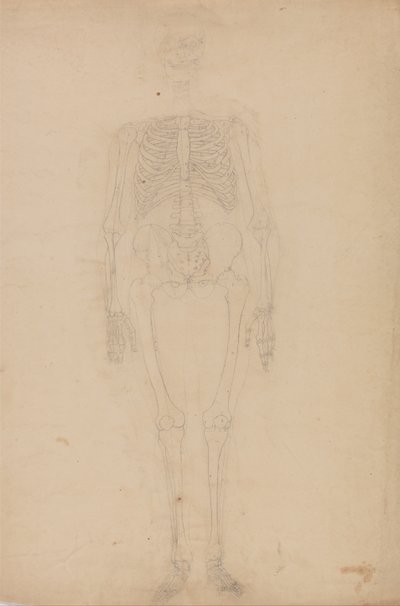  av George Stubbs