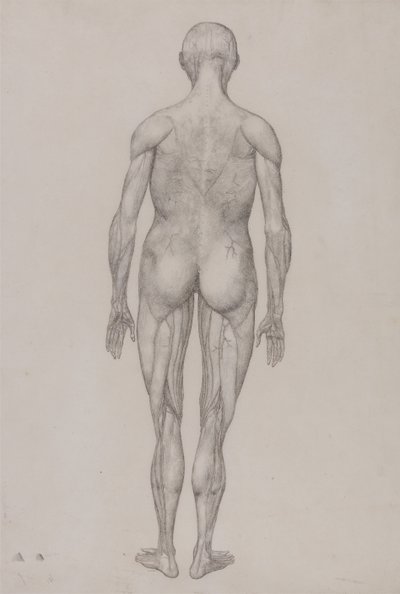  av George Stubbs