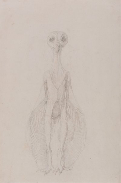  av George Stubbs