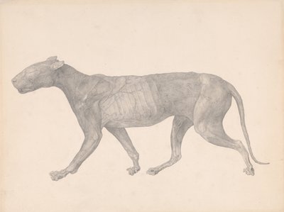  av George Stubbs