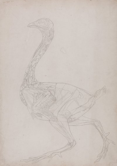  av George Stubbs