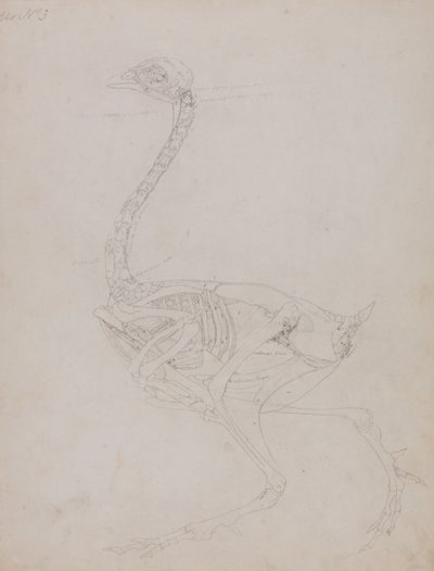  av George Stubbs