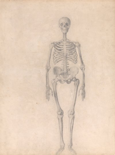  av George Stubbs