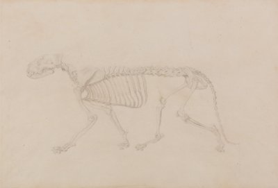  av George Stubbs