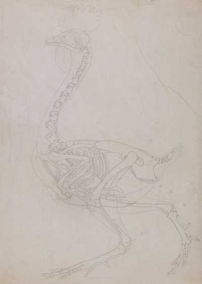  av George Stubbs