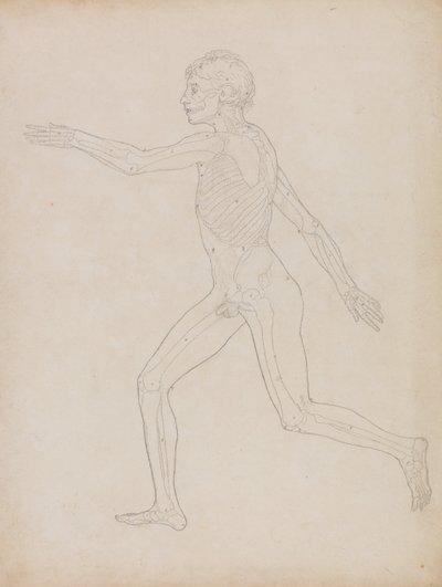  av George Stubbs
