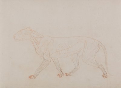  av George Stubbs