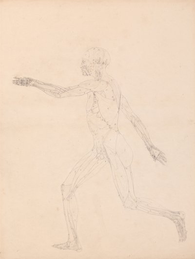  av George Stubbs