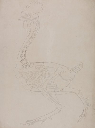  av George Stubbs
