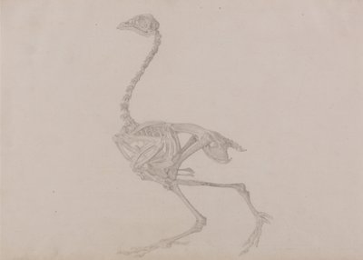  av George Stubbs