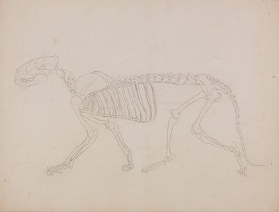  av George Stubbs